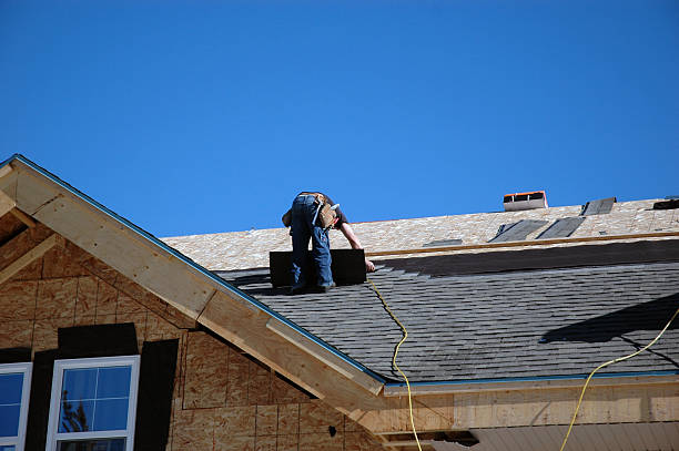 Best Roof Leak Repair  in Pine Ridge, SD