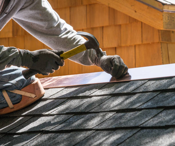 Roof Gutter Cleaning in Pine Ridge, SD